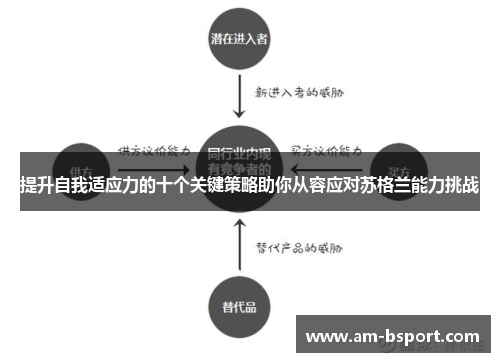 提升自我适应力的十个关键策略助你从容应对苏格兰能力挑战