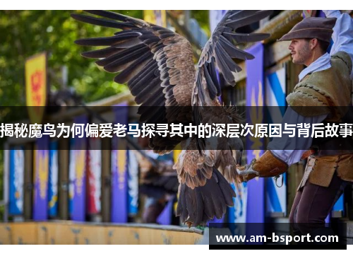 揭秘魔鸟为何偏爱老马探寻其中的深层次原因与背后故事