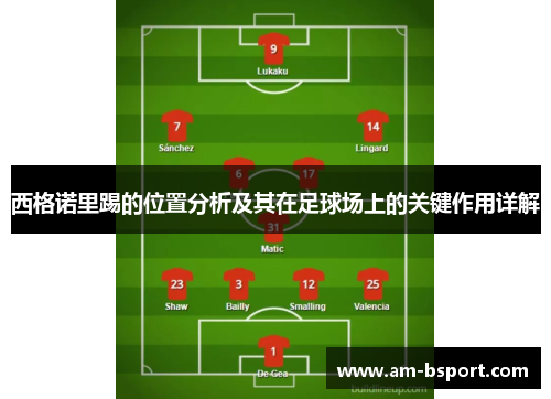 西格诺里踢的位置分析及其在足球场上的关键作用详解