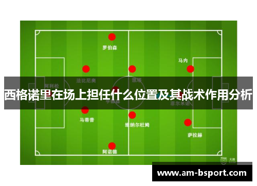 西格诺里在场上担任什么位置及其战术作用分析