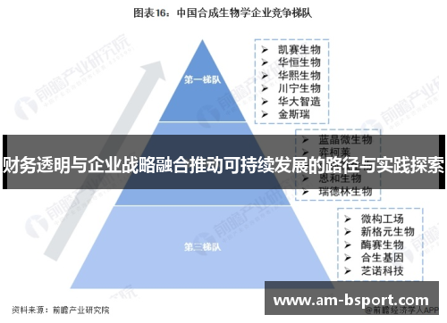 财务透明与企业战略融合推动可持续发展的路径与实践探索 财务透明与企业战略融合推动可持续发展的路径与实践探索