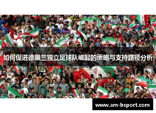 如何促进德黑兰独立足球队崛起的策略与支持路径分析 如何促进德黑兰独立足球队崛起的策略与支持路径分析