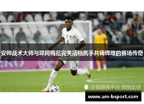 安帅战术大师与琼阿梅尼完美搭档携手共铸辉煌的赛场传奇