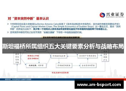 斯坦福桥所属组织五大关键要素分析与战略布局 斯坦福桥所属组织五大关键要素分析与战略布局